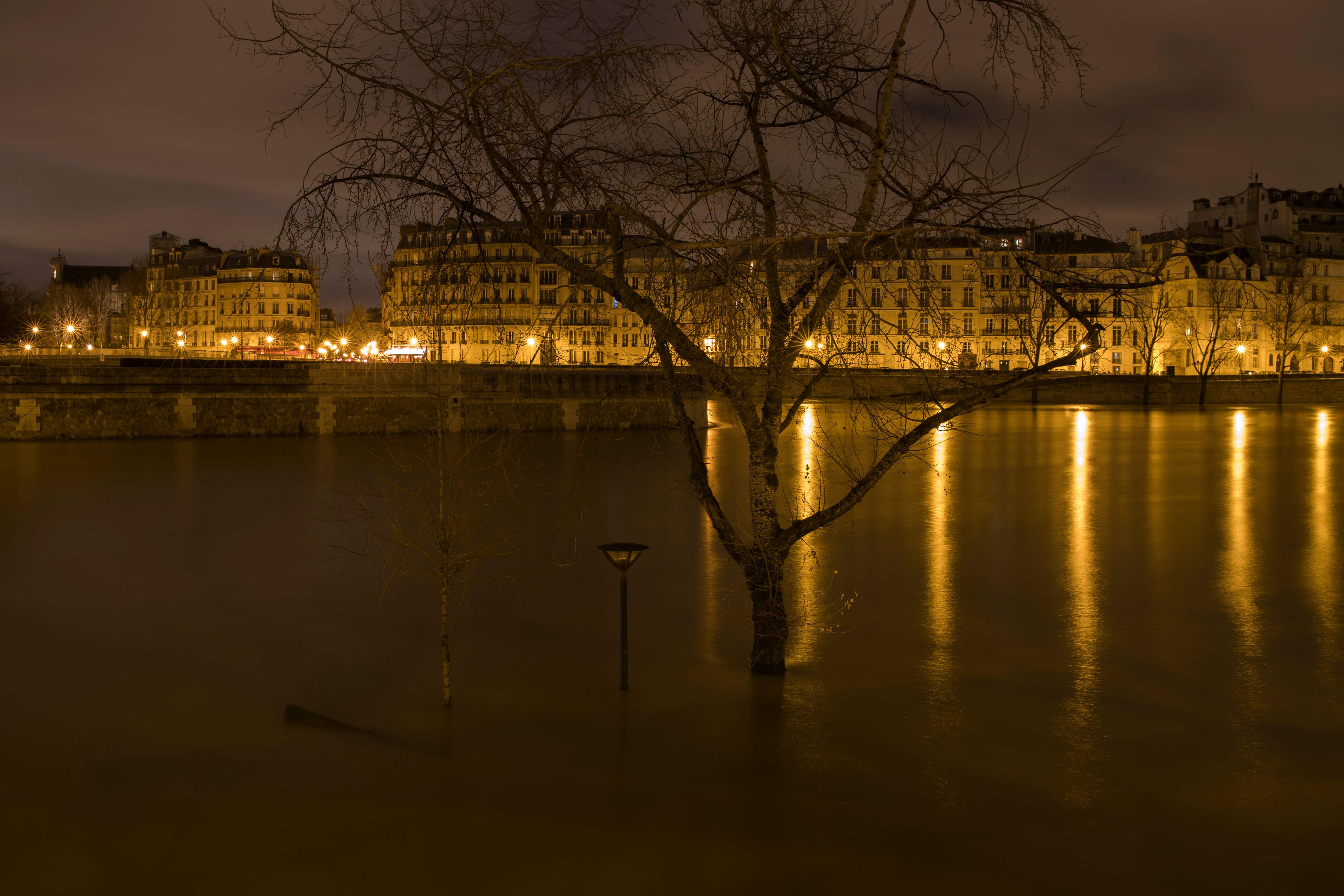 المياه تغمر عامود إنارة وشجرة فى نهر السين بفرنسا