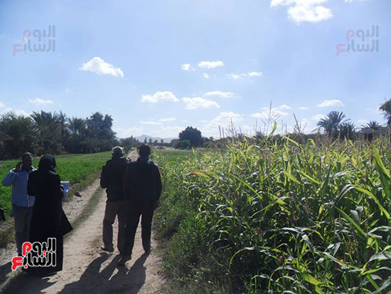 جانب من جولة اللجنة فى الأراضى المقدمة تقنينها
