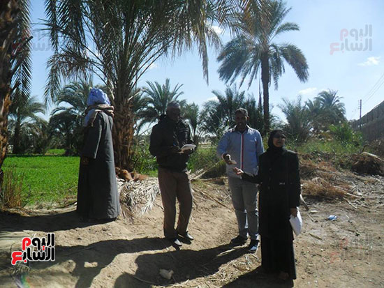  جانب من عمل لجنة حضر طلبات تقنين الأراضى