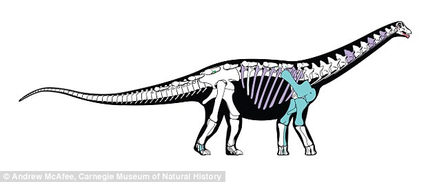 تصور للديناصور منصوراسوروس