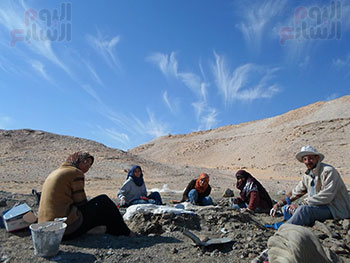 فريق مكتشف الديناصور المصرى (3)