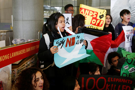 نشطاء يتظاهرون ضد تجارة العاج فى هونج كونج