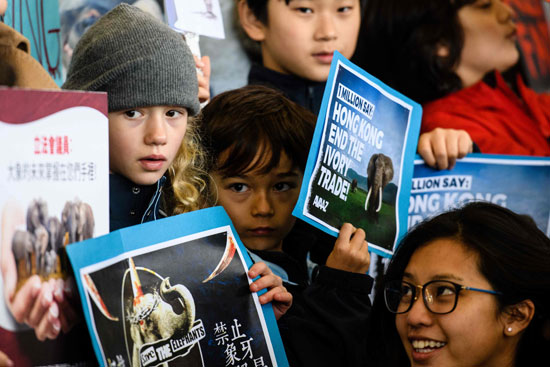 أطفال يتظاهرون ضد تجارة العاج فى هونج كونج