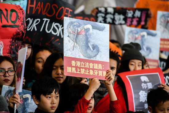 مظاهرات ضد قتل الفيلة فى هونج كونج
