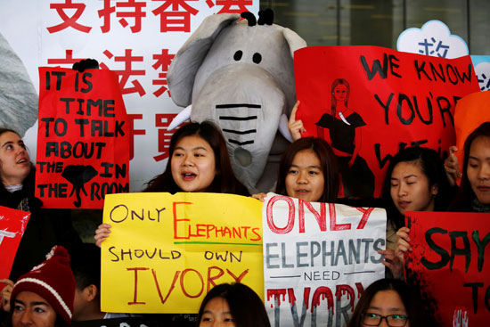 احتجاجات على تجارة العاج فى هونج كونج