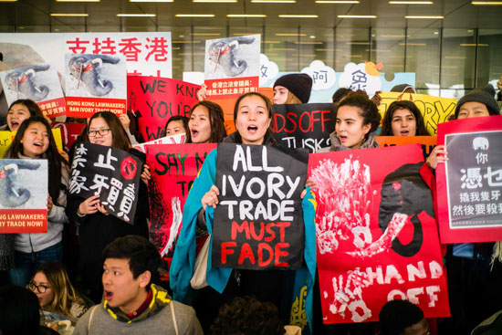 وقفة احتجاجية ضد تجارة العاج فى هونج كونج