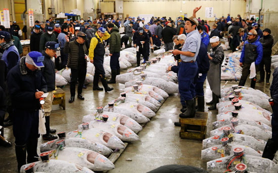 إقبال كثيف على أكبر سوق سمك فى العالم باليابان