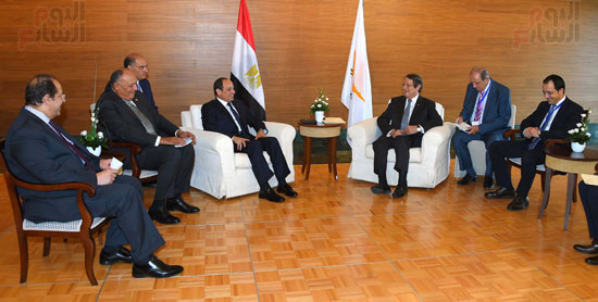 الرئيس عبد الفتاح السيسى اليوم مع الرئيس القبرصى (1)