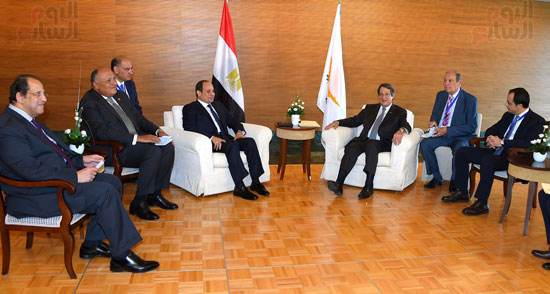 الرئيس عبد الفتاح السيسى اليوم مع الرئيس القبرصى (3)