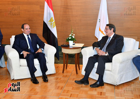 الرئيس عبد الفتاح السيسى اليوم مع الرئيس القبرصى (2)