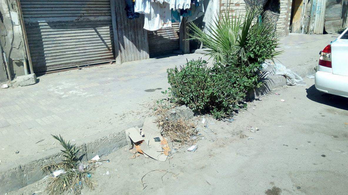 تكسير رصيف وعقار مخالف فى شارع الملاحة فى بور فؤاد  (3)