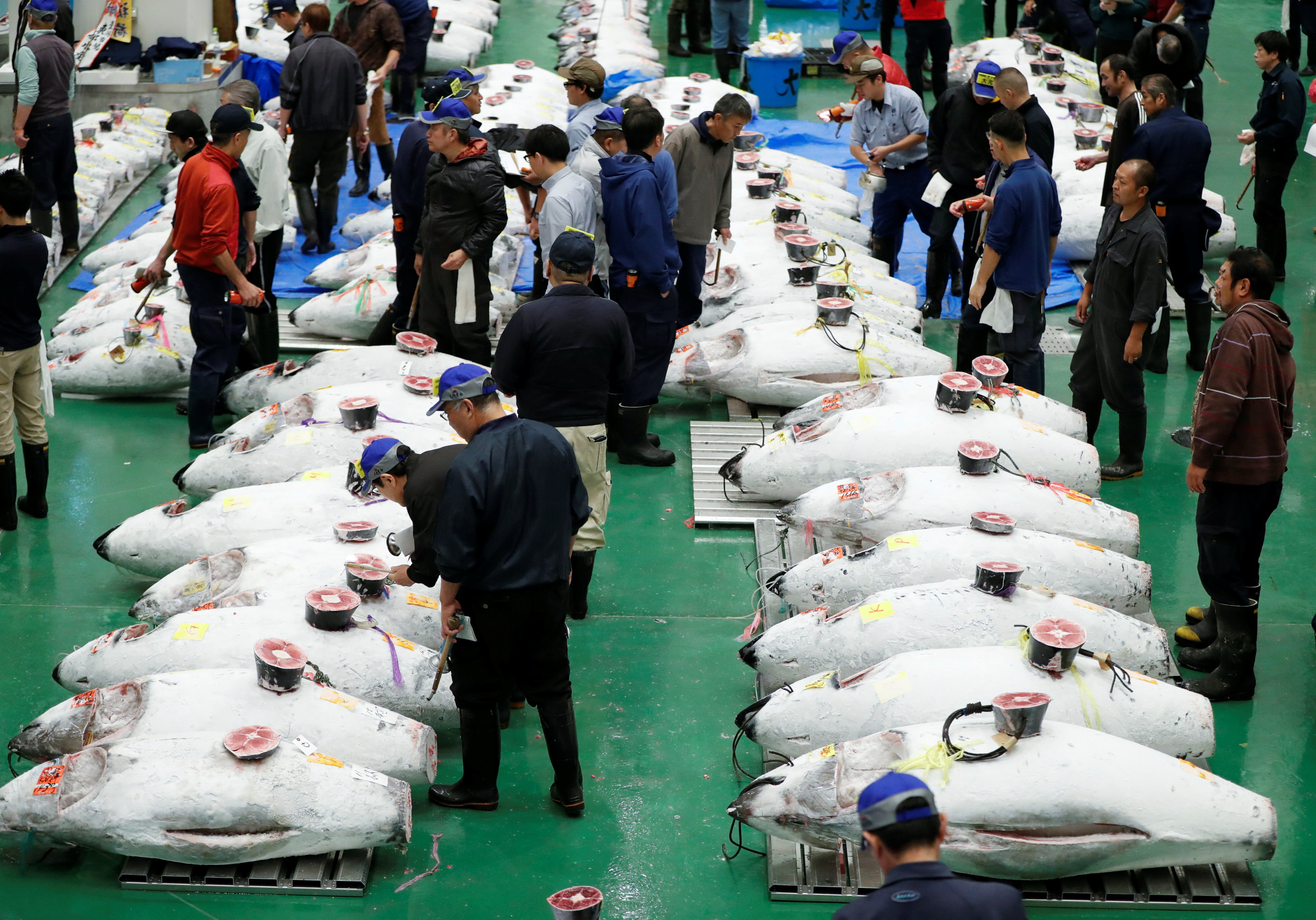 سوق أسماك فى اليابان