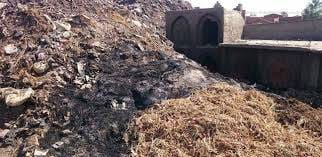 تلال القمامة المجاورة للمقابر فى دكرنس  (4)