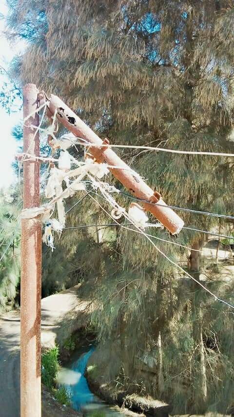 تهالك أعمدة الكهرباء بعزبة أبو جعفر فى الشرقية (5)