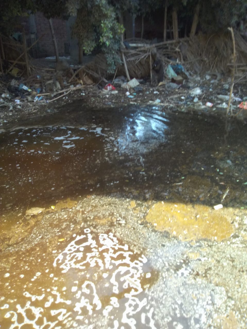 انتشار مياه الصرف الصحى بقرية فرسيس بمحافظة الغربية
