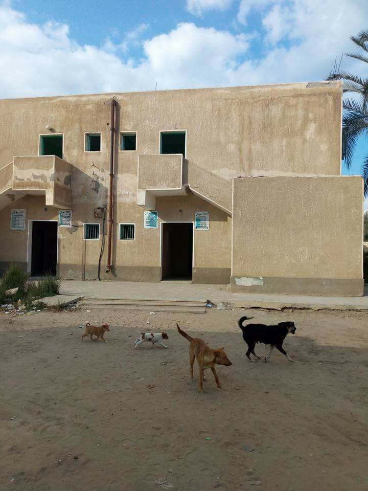 4- Ø§ÙØµØ§ÙØÙØ©