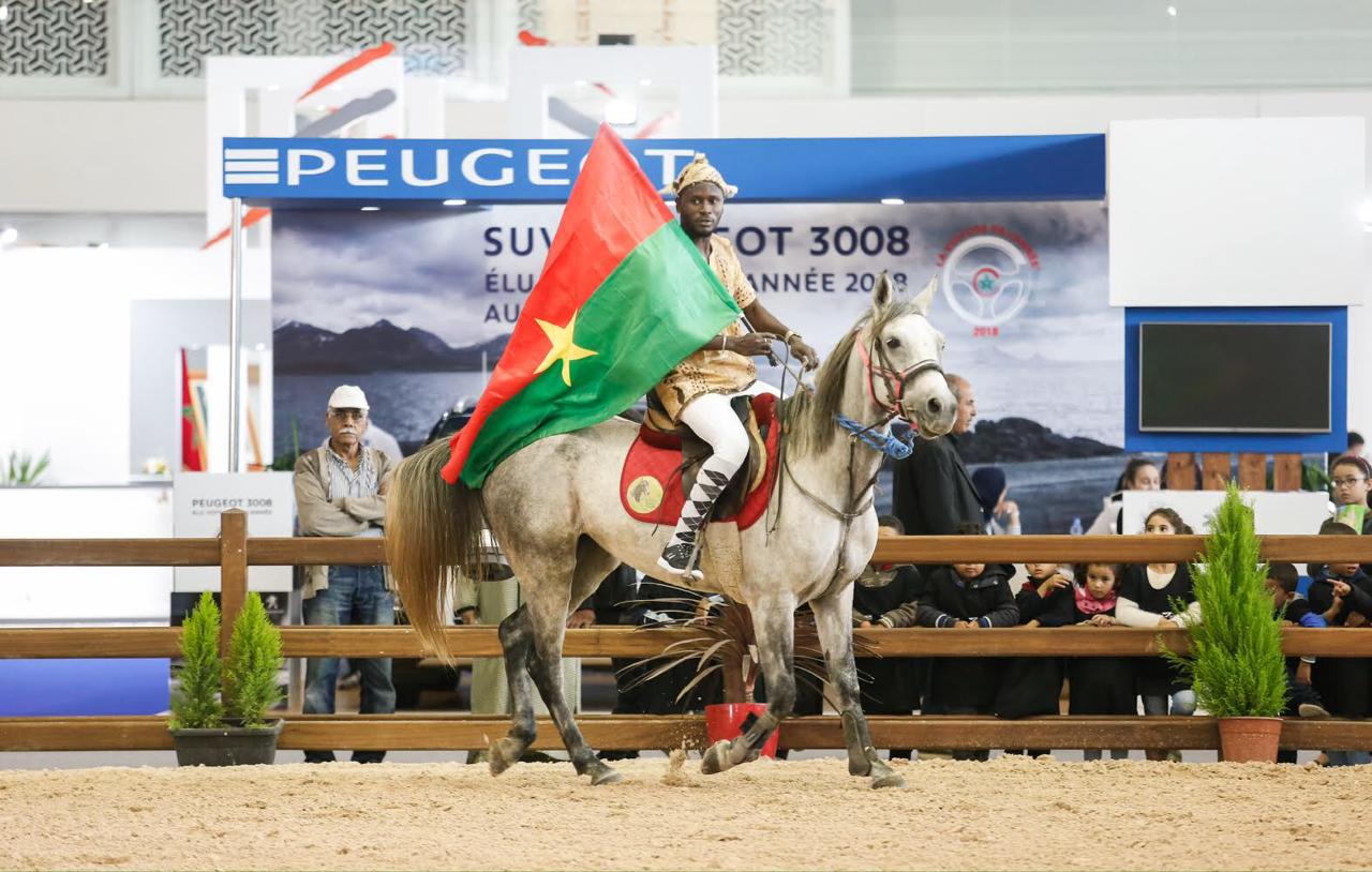 معرض الفرس في المغرب (2)