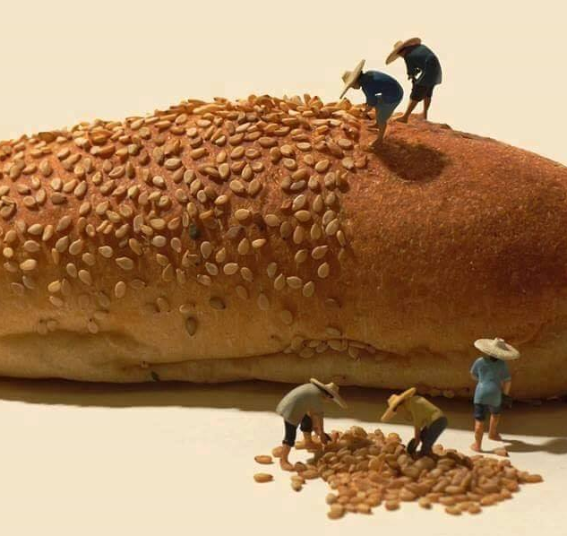 خبز