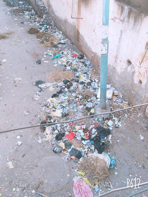 القمامة بجوار المساكن الشعبية (2)
