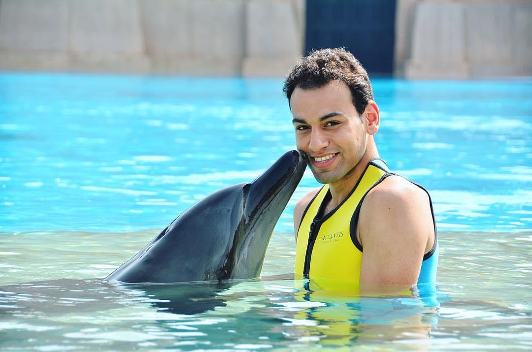 محمد الشوربجى مع الدولفين