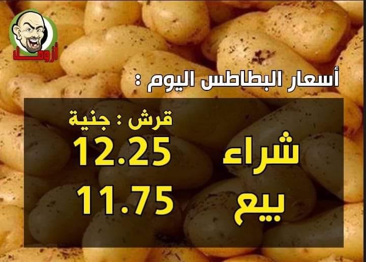 ارتفاع سعر البطاطس