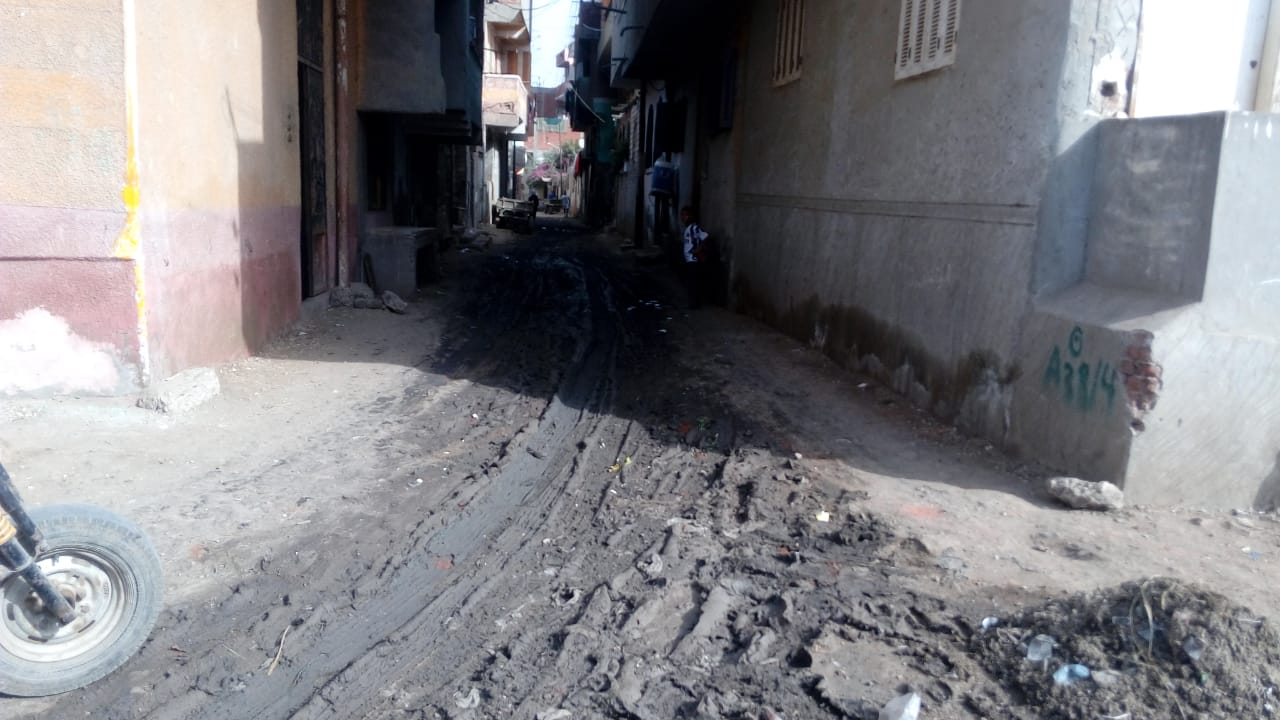  غرق شوارع قرية أبو حمر بالغربية (10)