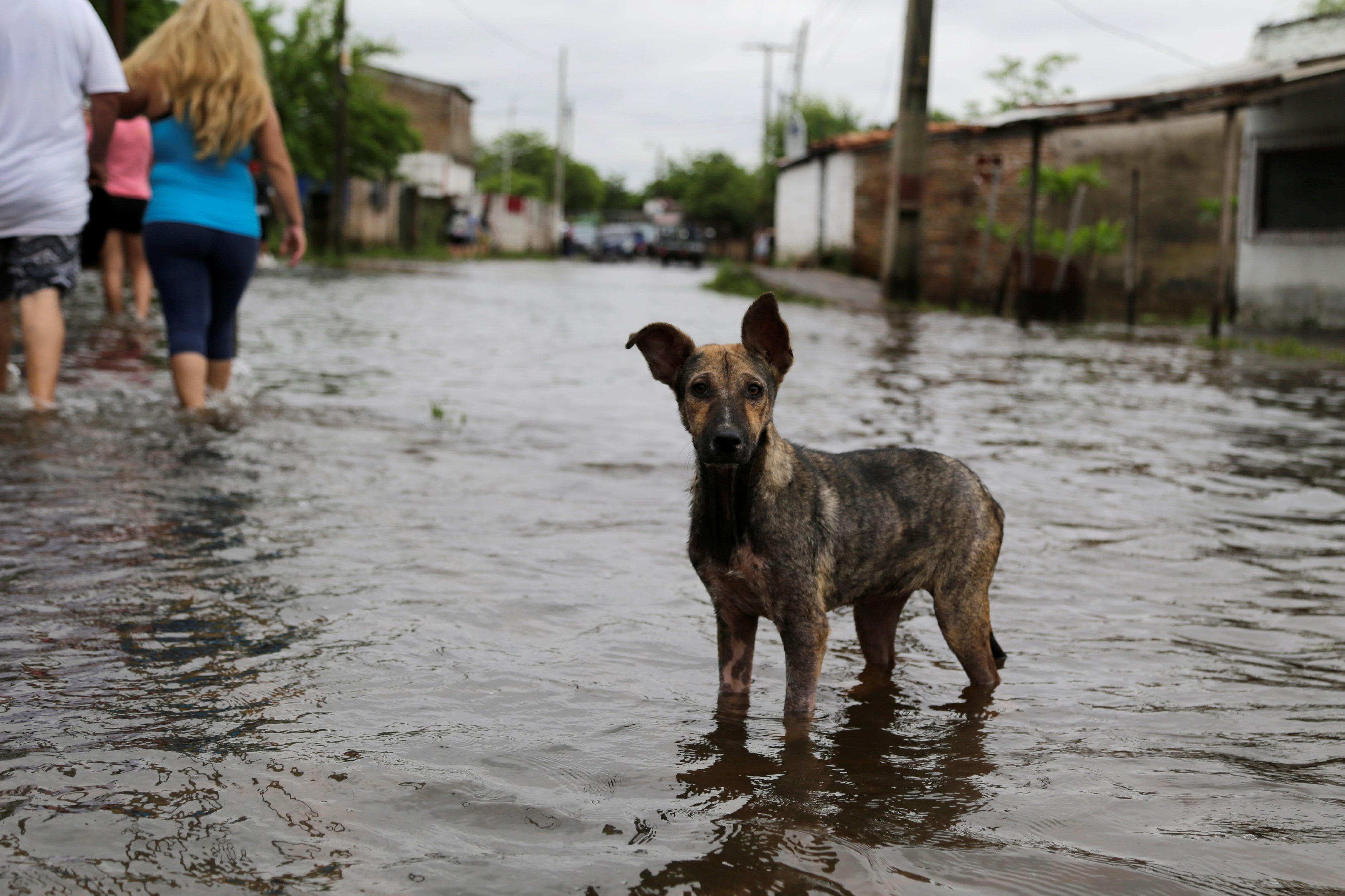 فيضانات باراجواى (3)