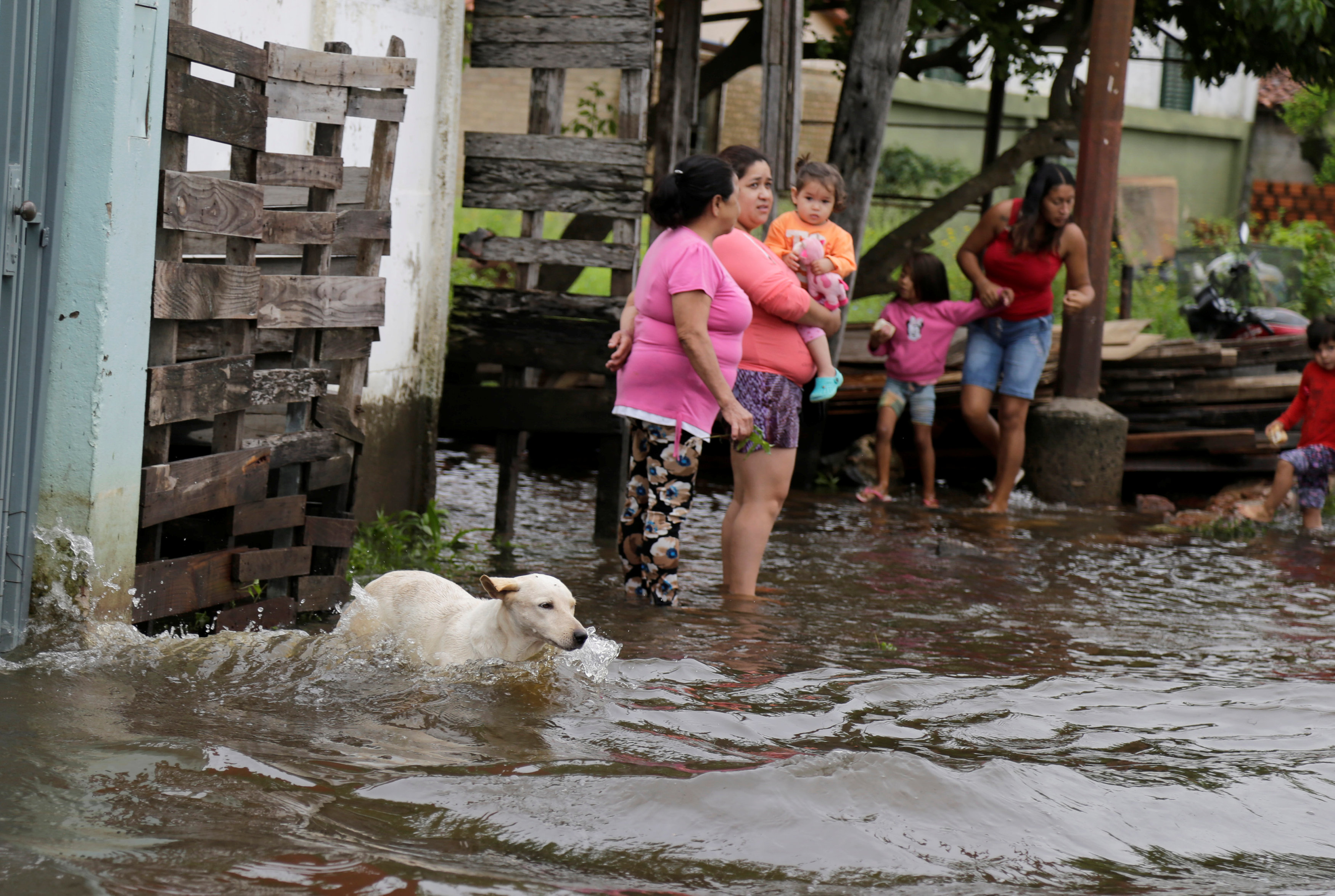 فيضانات باراجواى (4)
