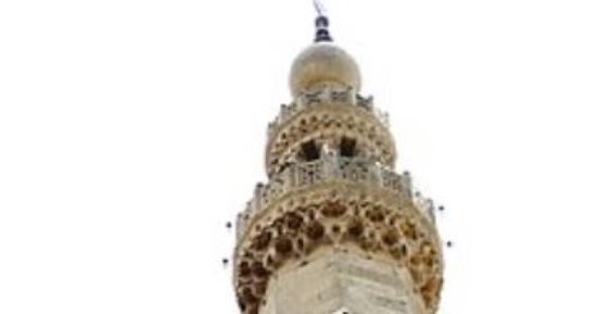 مسجد الماردانى