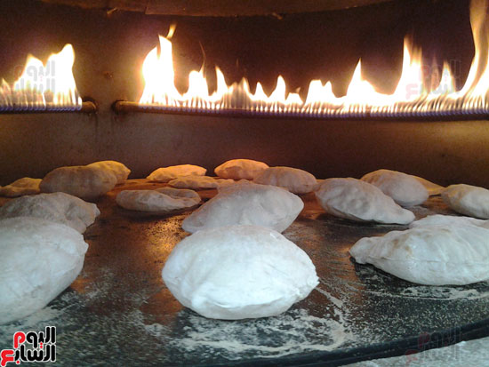  أول مخبز لإنتاج المخبوزات الخالية من الجلوتين بجامعة أسيوط (10)