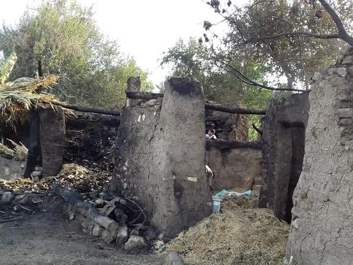 حريق بحظائر المواشى باحدى قرى المنوفية (3)