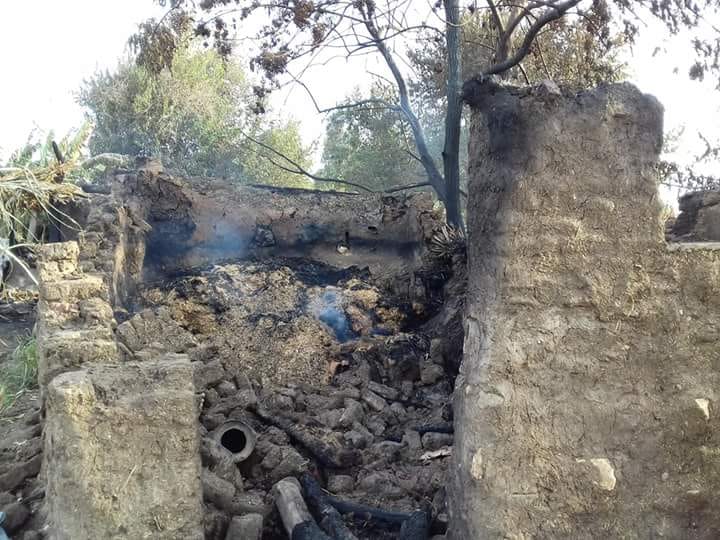 حريق بحظائر المواشى باحدى قرى المنوفية (1)