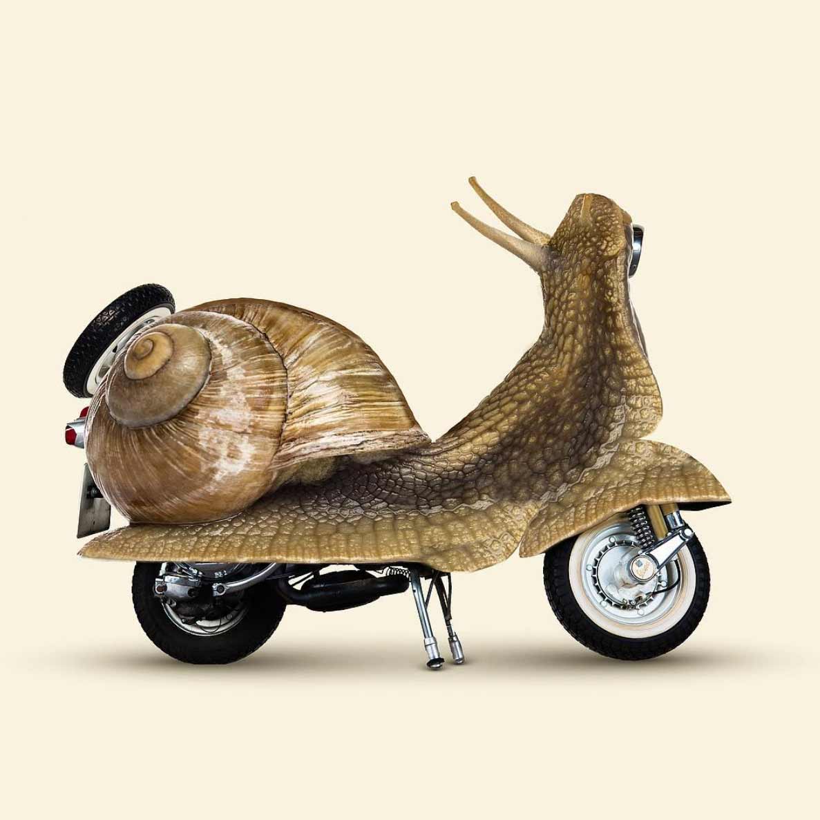دراجة بخارية على شكل حيوان الحلزون