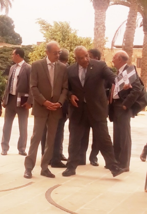 اللجنة القومية لحماية وتطوير القاهرة التراثية 3