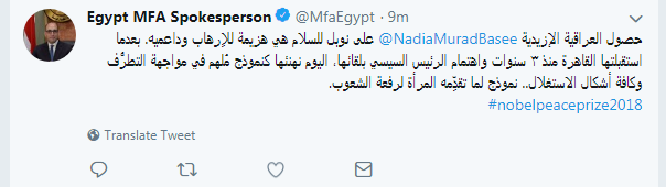 الخارجية المصرية