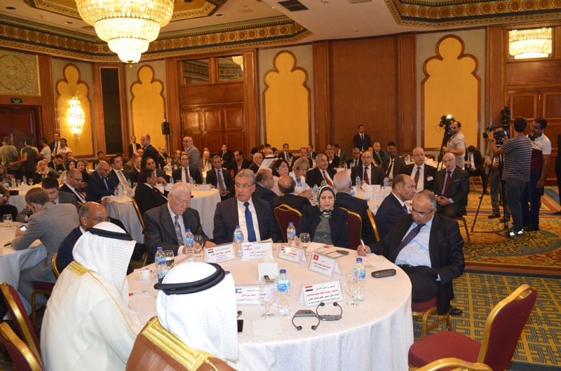 المؤتمر الدولي لمجلس الدولة المصري  والاتحاد العربي للقضاء الإداري  (10)