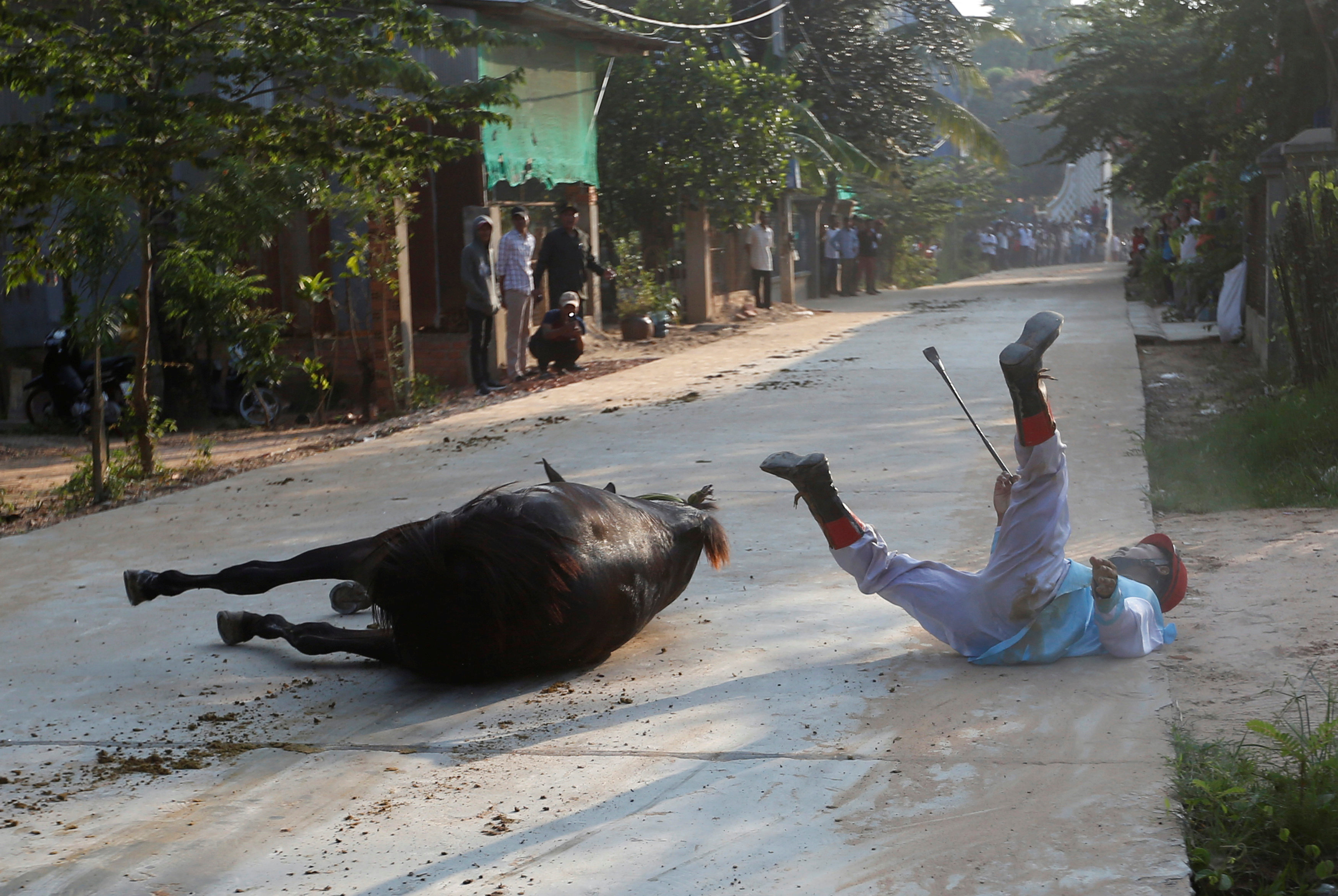 مواطن يسقط من ظهر أحد الحيوانات أثناء الاحتفال