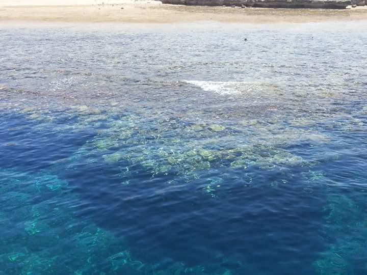 منطقة عرق سمية شرق الجفتون