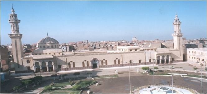 محافظة كفر الشيخ (8)