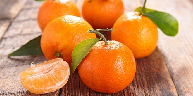 يوسفى2 يوسفى2