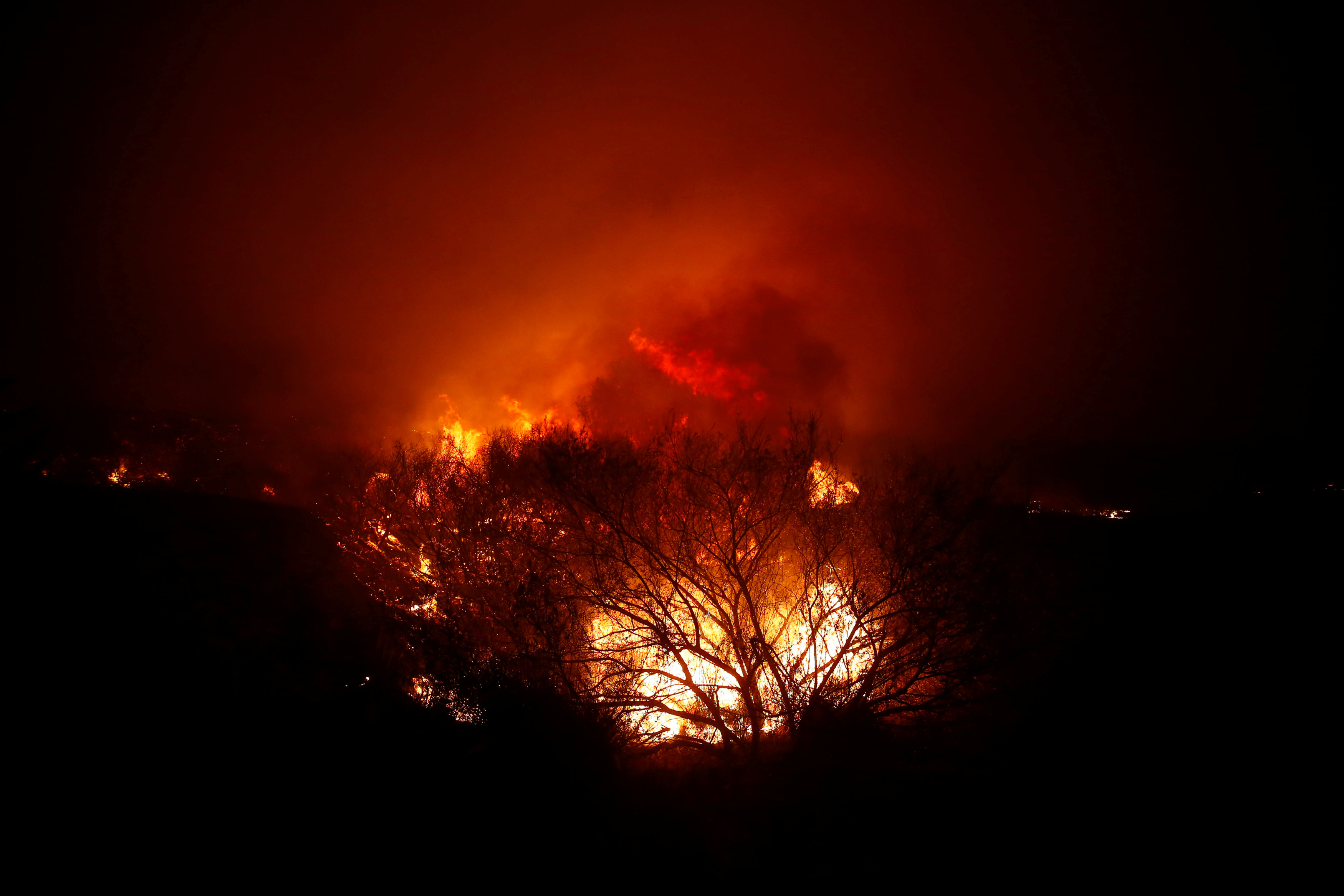 حرائق الغابات فى كاليفورنيا (12)