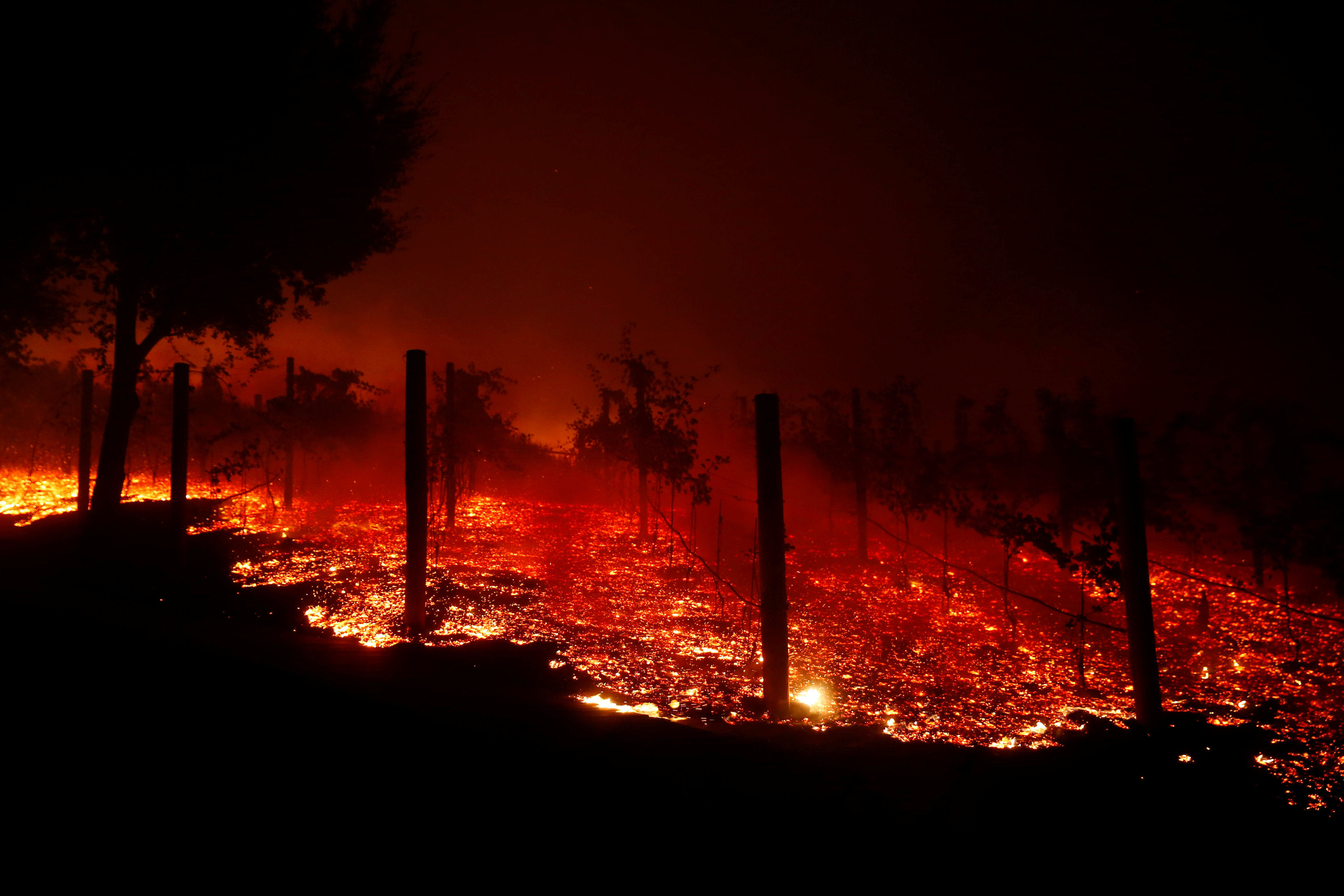 جحيم كاليفورنيا حرائق الغابات تتحول إلى كتل عملاقة من اللهب