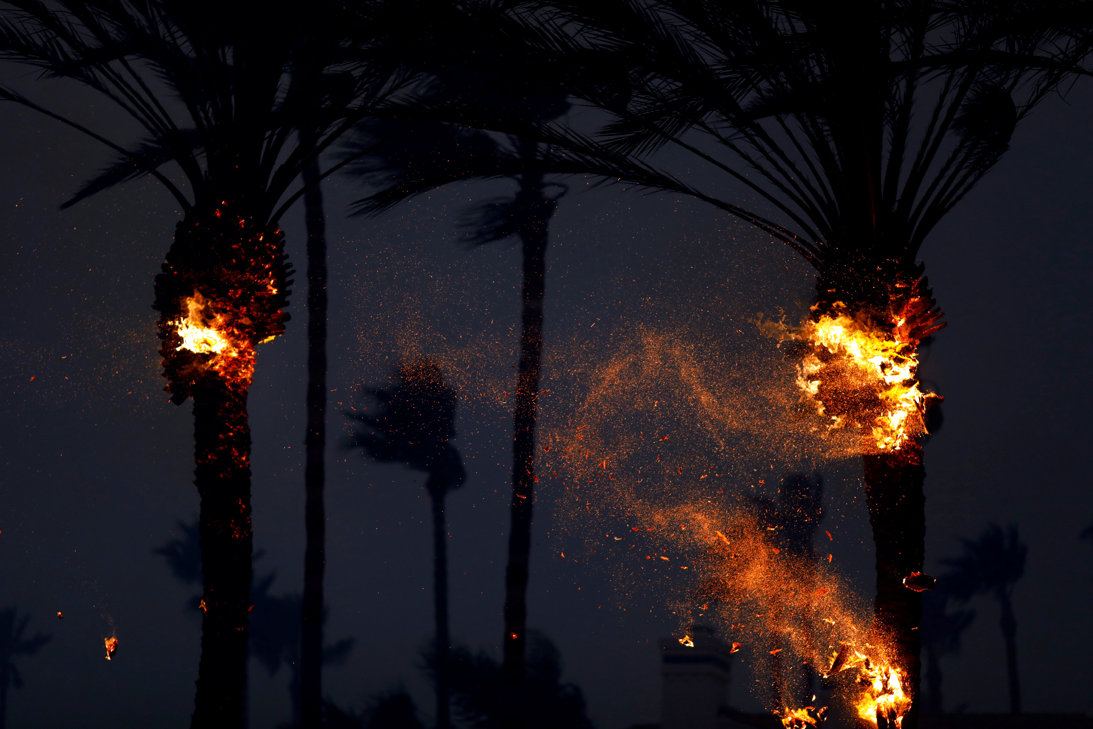 حرائق الغابات فى ولاية كاليفورنيا (8)