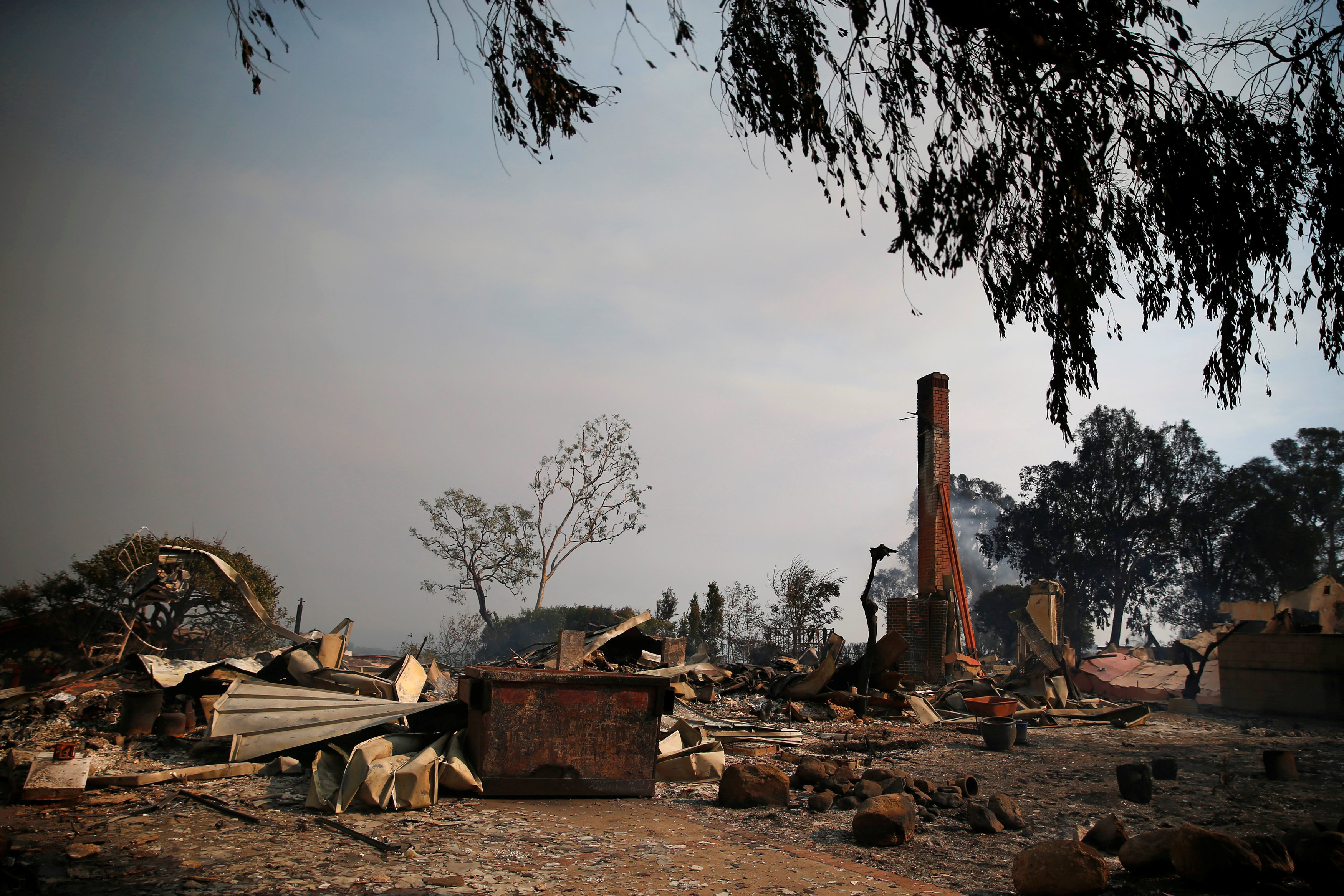 حرائق الغابات فى ولاية كاليفورنيا (14)
