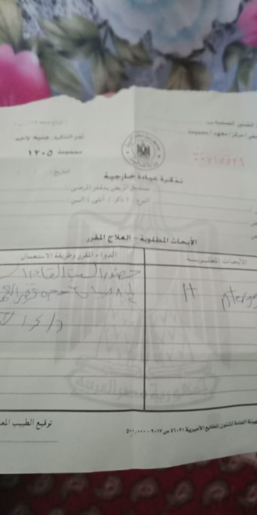 دور المسنين (11)