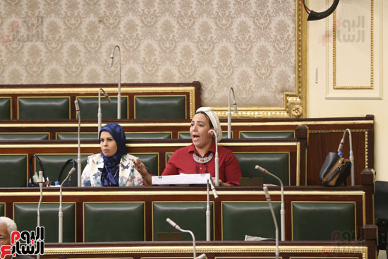 الجلسة العامة لمجس النواب (4)