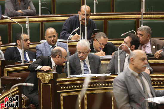 الجلسة العامة لمجس النواب (7)