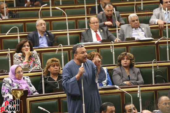 الجلسة العامة لمجس النواب (6)