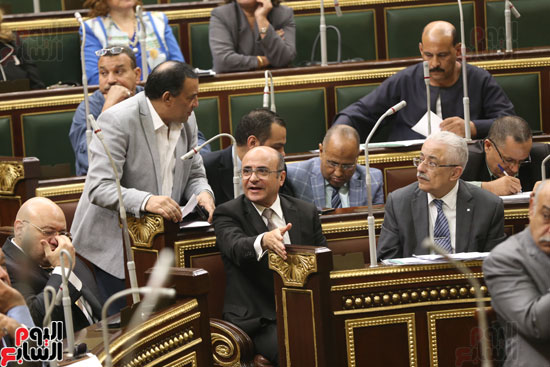 الجلسة العامة لمجس النواب (2)