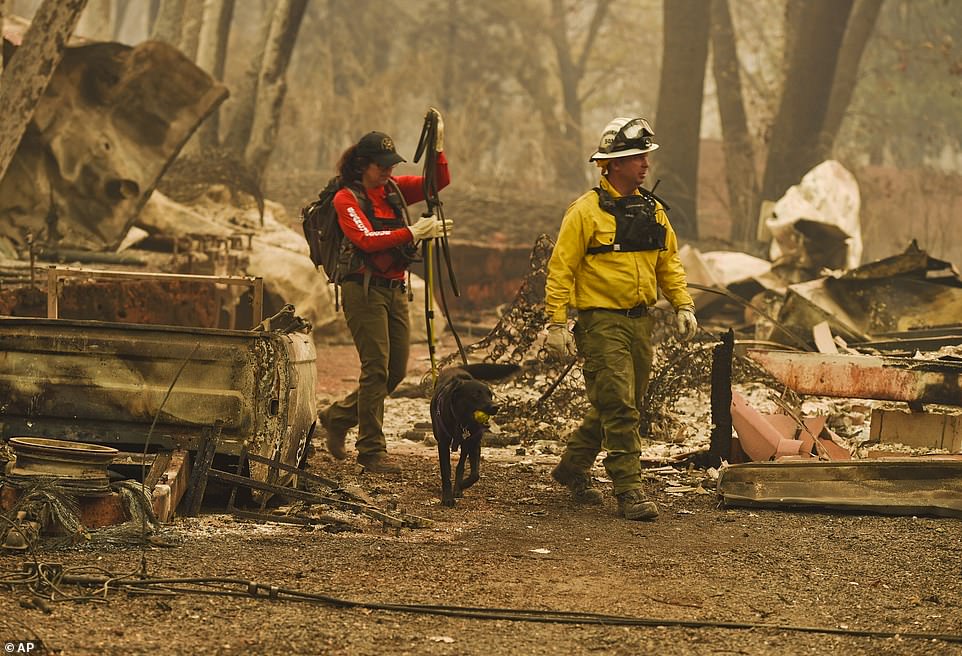 حيوانات تضررت من حرائق كاليفورنيا (3)